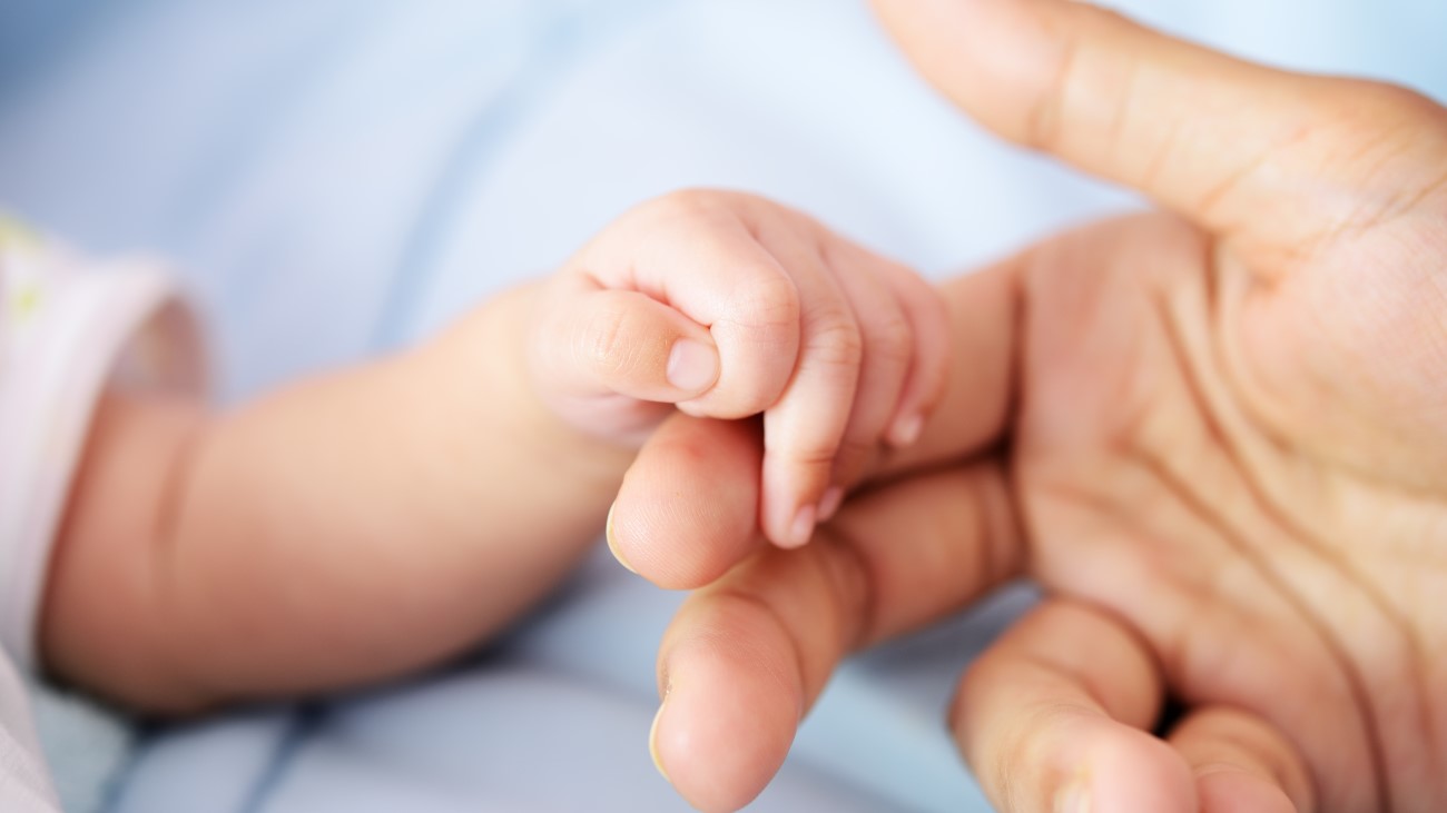 Proposed Changes to the Statutory Paternity Leave Regime Howes Percival